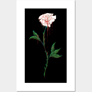 White Rose Dripping with Blood Posters and Art